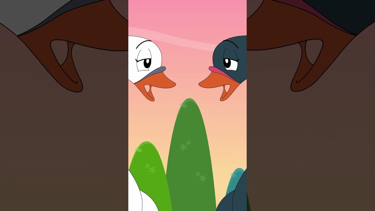 Witte Zwanen Zwarte Zwanen 🦢 - Luister dit Nederlandse Kinderliedje! | Minidisco