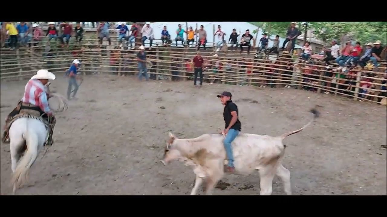 Jaripeo ranchero celebrado en el Volador Ixcatepec, Ver