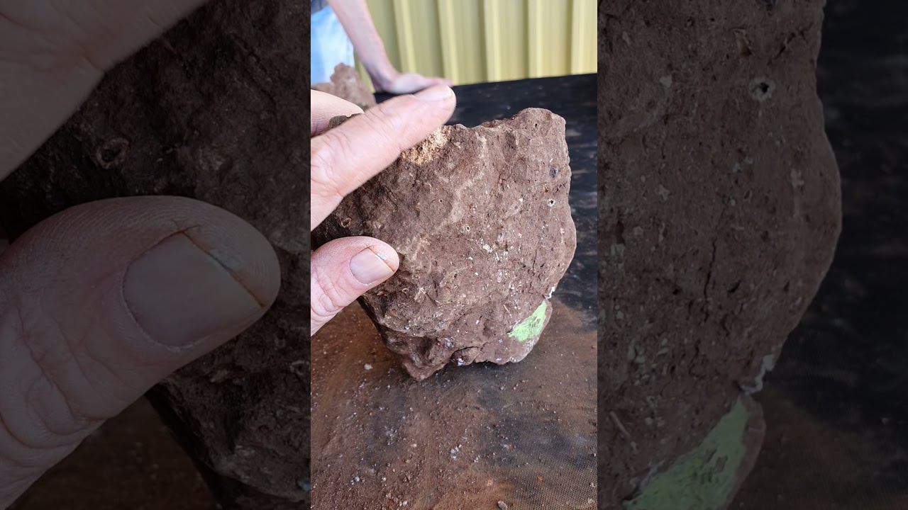 cataloging fossil blocks at the 105 site