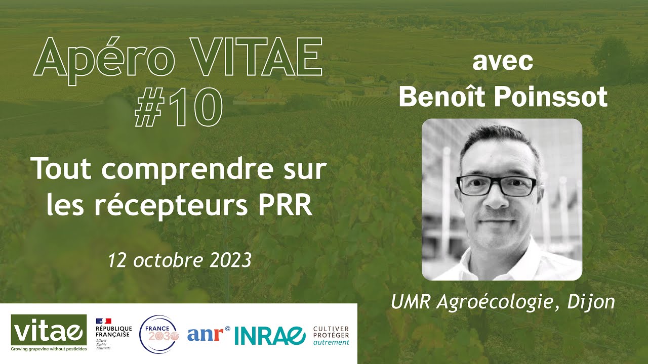 Apéro VITAE n°10 - Tout comprendre sur les récepteurs PRR