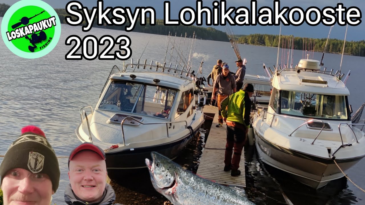 Loskapaukut - Syksyn lohikalakooste