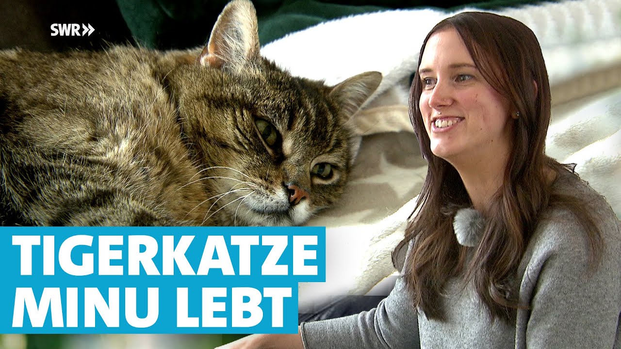 Katze Minu nach über drei Jahren plötzlich wieder da