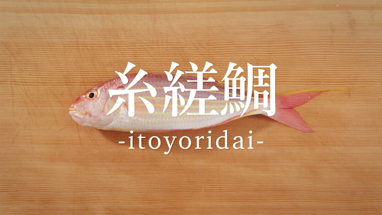 糸縒鯛（いとよりだい）のさばき方 - How to filet Golden Threadfin-bream -｜日本さばけるプロジェクト（海と日本プロジェクト）