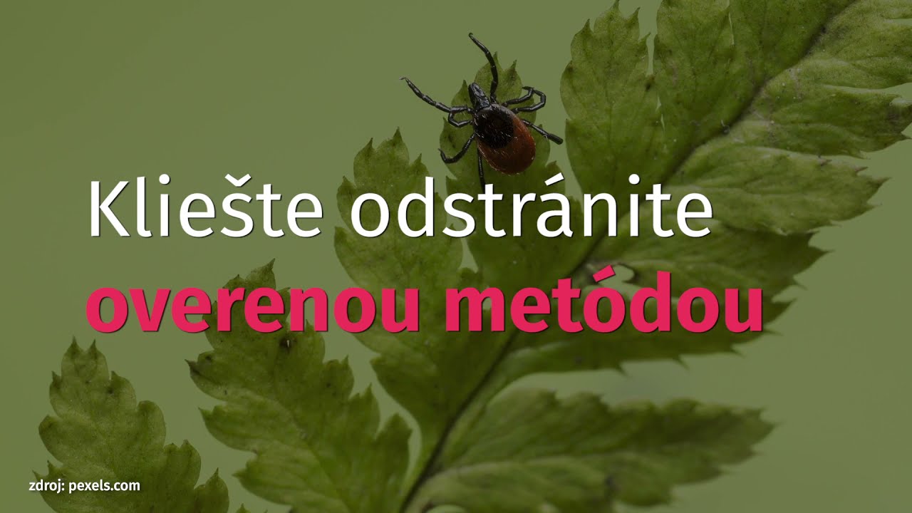 Kliešte odstránite overenou metódou