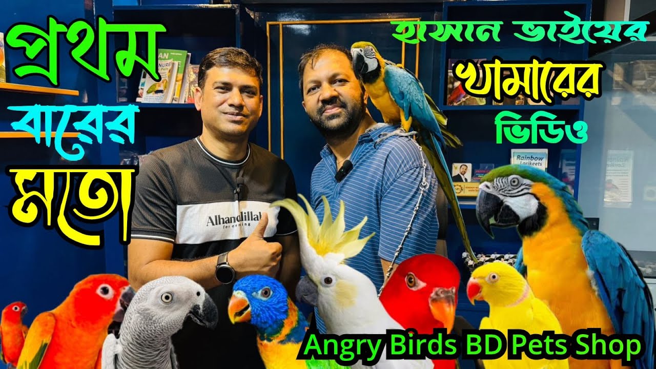 প্রথম বারের মতো হাসান ভাইয়ের অ্যাংরি বার্ডস  এর খামারের ভিডিও | Angry Birds BD Pets Shop#viralvideo