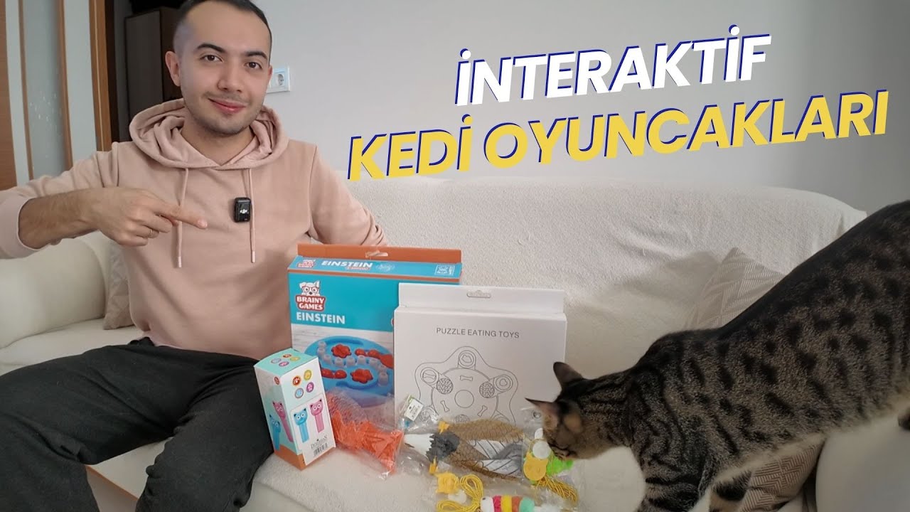 Kedilerle Oyuncak Deniyoruz 😍 (KARTAL KEDİ OYUNCAĞINA BAYILDILAR)