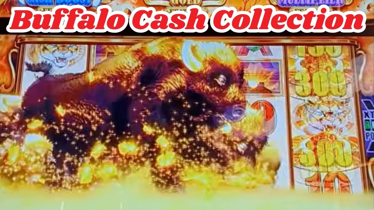 Buffalo Cash Collection Stampede