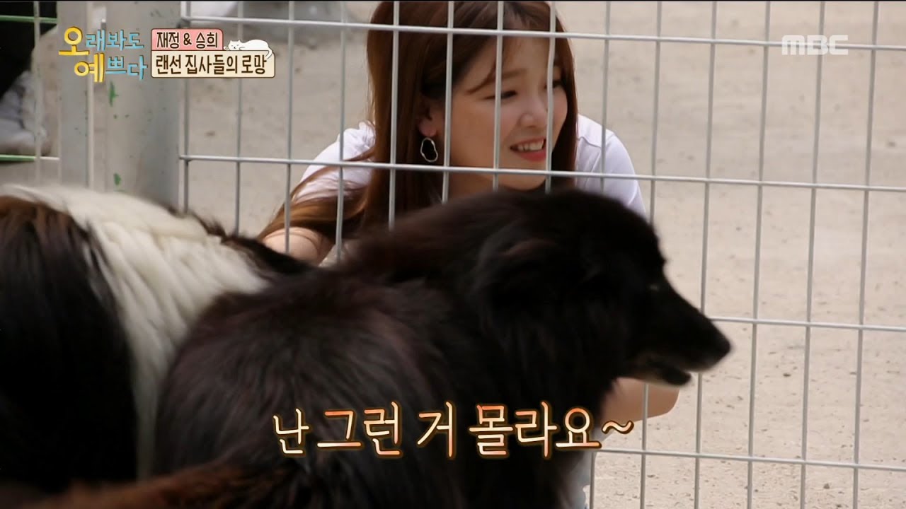 [HOT] Idol without Beware!!, 오래봐도 예쁘다 20190725