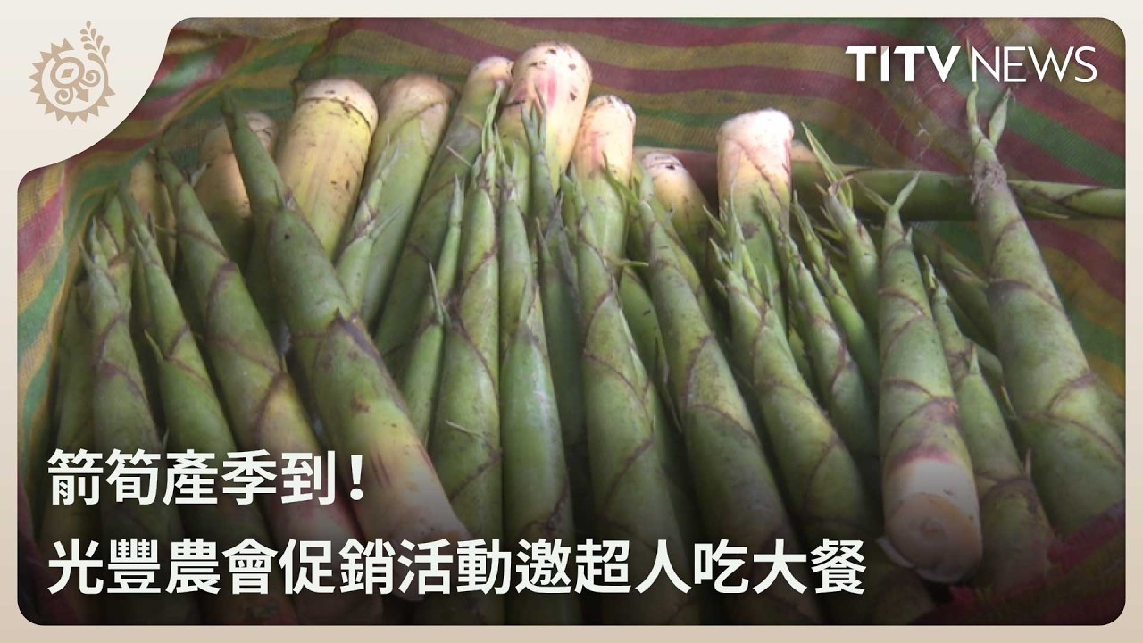 箭筍產季到！ 光豐農會促銷活動邀超人吃大餐｜每日熱點新聞｜原住民族電視台