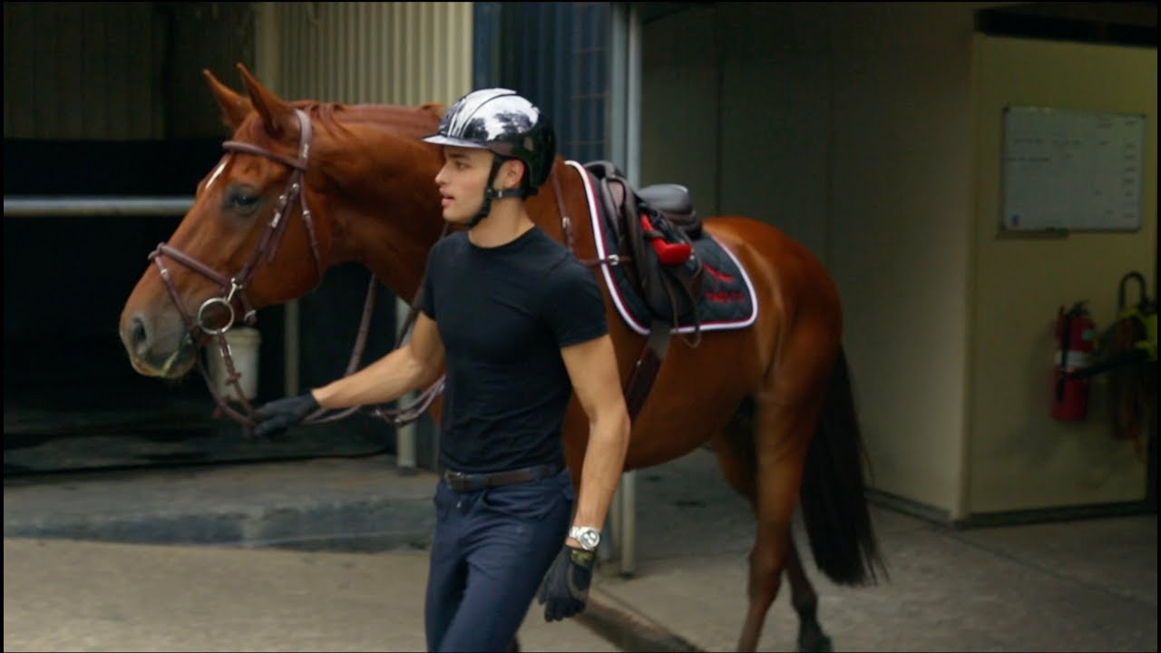 DRESSAGE HORSE TRIES SHOWJUMPING || MATT HARNACKE - PART 1