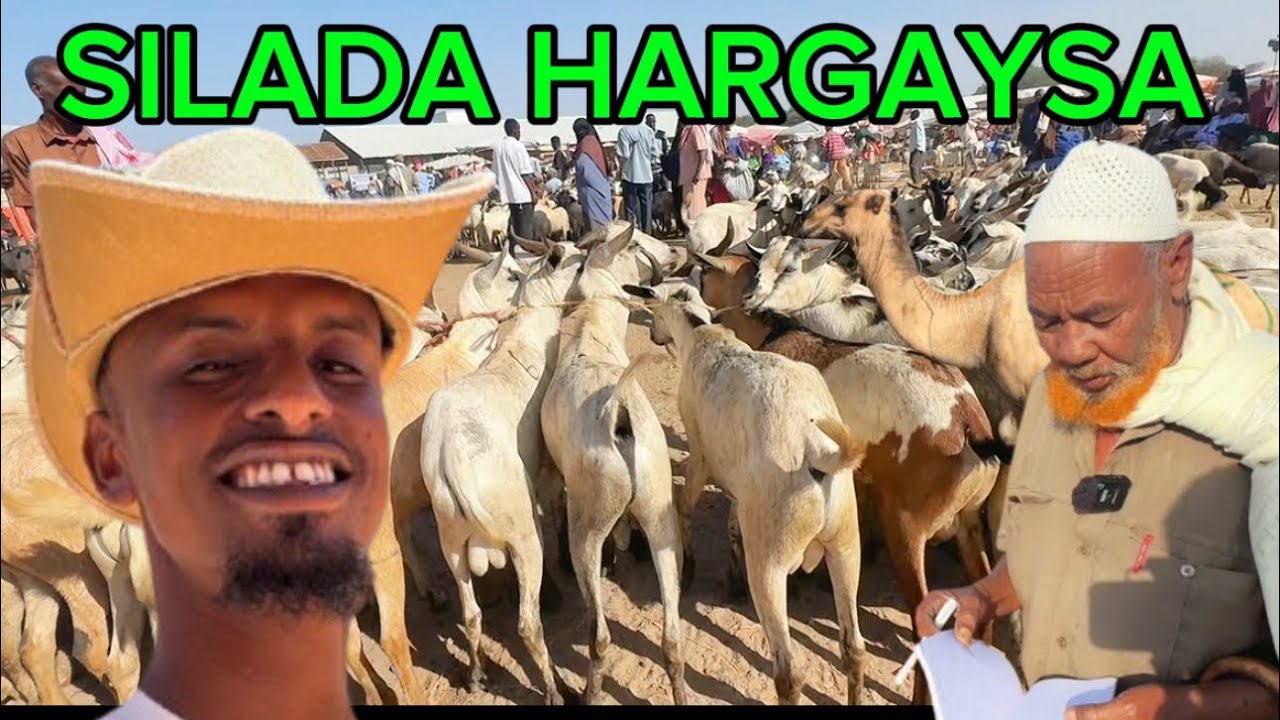 SILADA XOLAHA EE HARGEYSA XAGEEBOW MARAYA WAX KA OGOW 