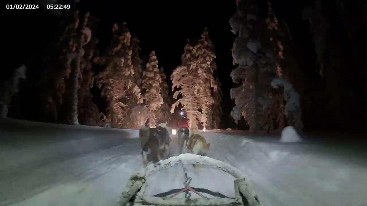13 Feb Aurora Husky Tour 1st Leg