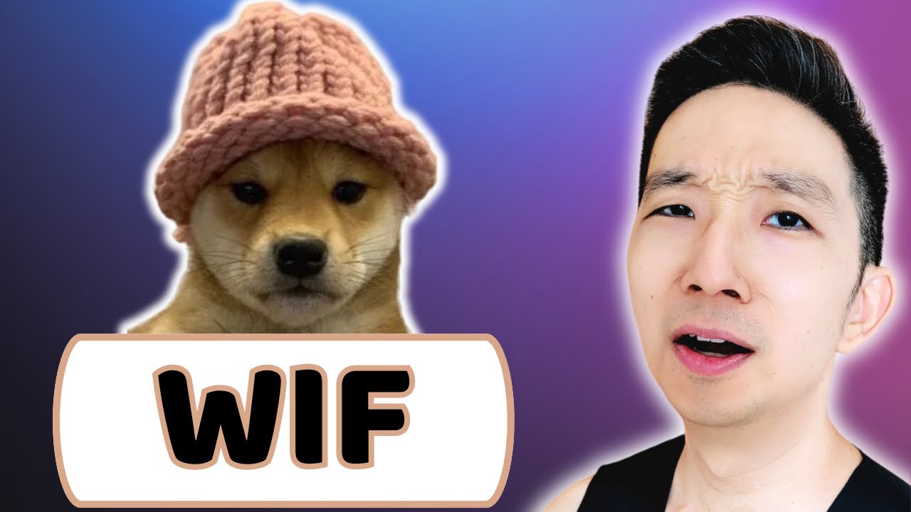 WIF dogwifhat Price Prediction (9 Aug 2024)