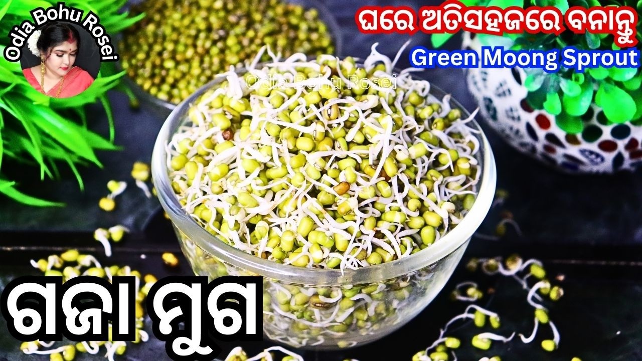 ଘରେ ବନାନ୍ତୁ ଅତିସହଜରେ ଗଜା ମୁଗ | Gaja Muga | Green Moong Dal Sprouts Recipe | Odia