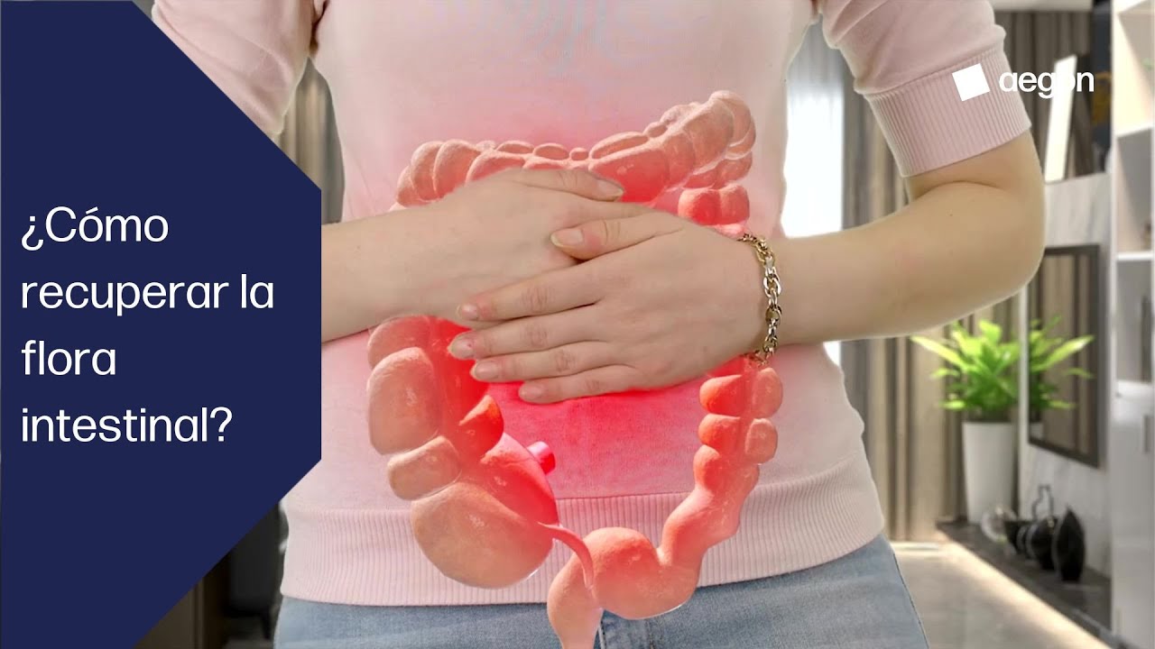 C&oacute;mo recuperar la flora intestinal: alimentos y consejos