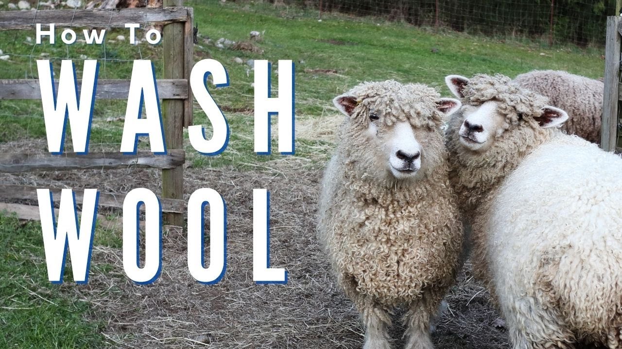how to wash wool
