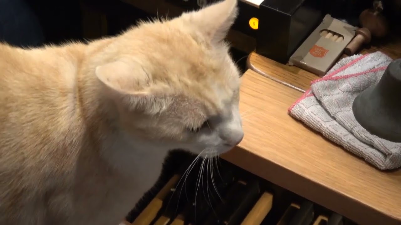 Daar ruist langs de wolken