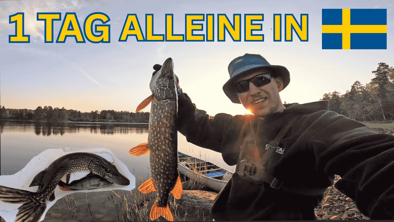 1 Tag ALLEINE in SCHWEDEN! 🇸🇪 🎣 🏕️ | catch&cook mit FREUNDIN | Schweden VLOG 7