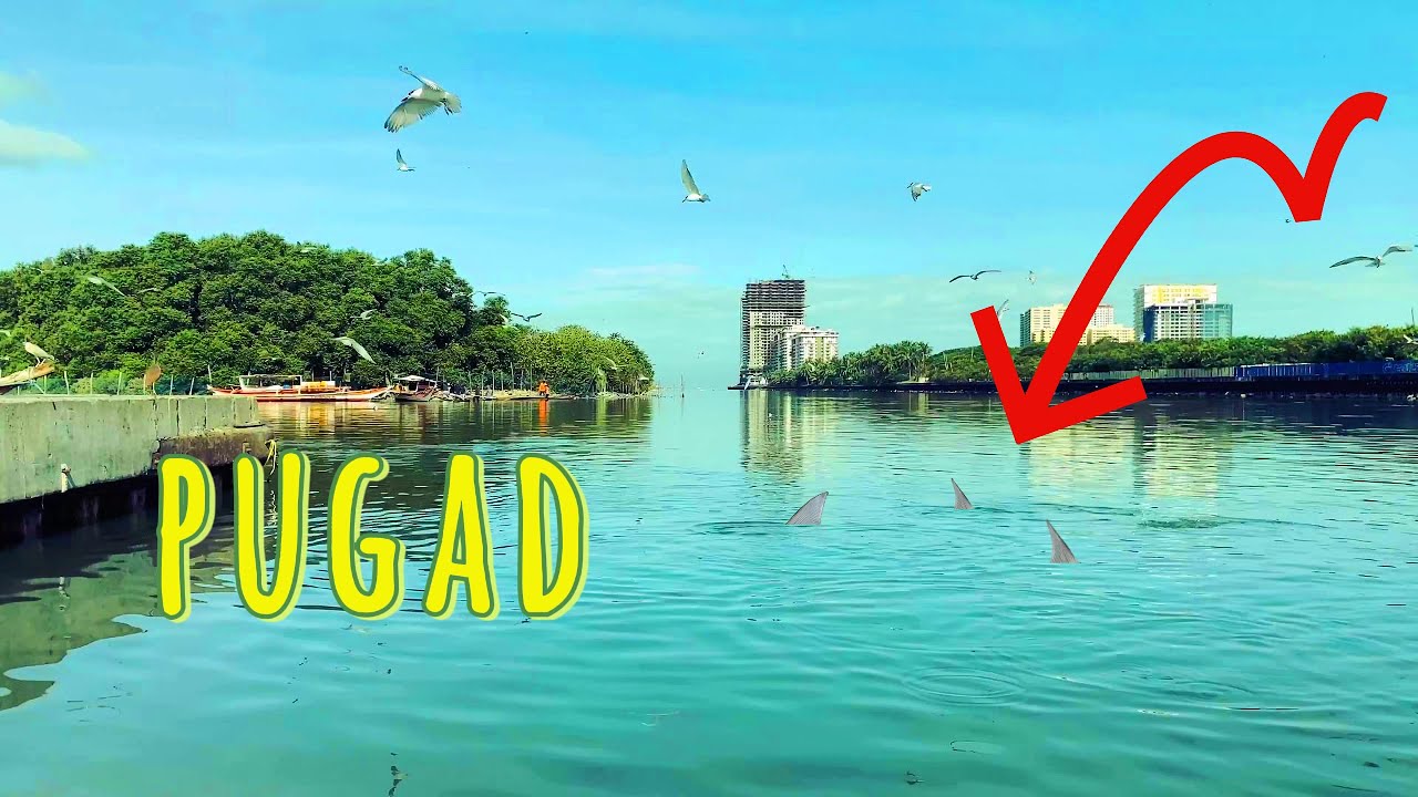 Secretong Spot ng Tarpon sa Parañaque?! URBAN FISHING GONE WILD!