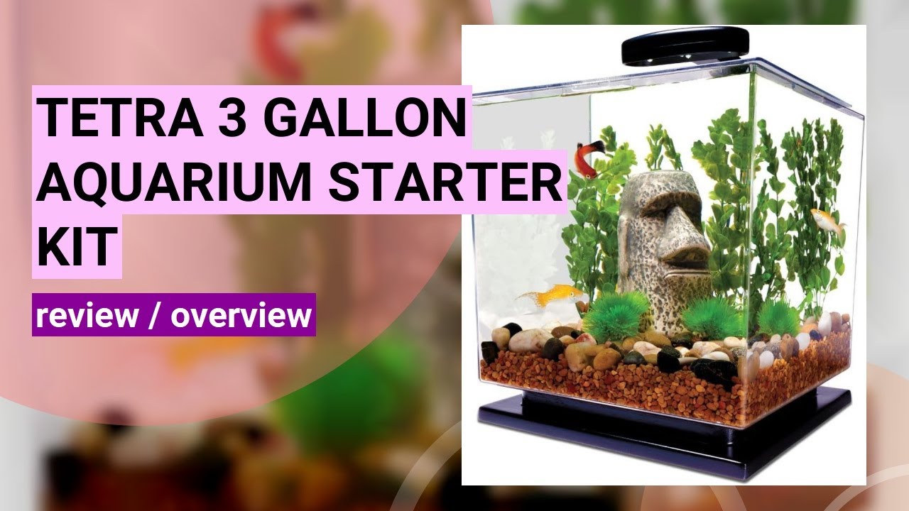 Review: Tetra 3 Gallon Aquarium Starter Kit - Perfect for Betta and Goldfish!