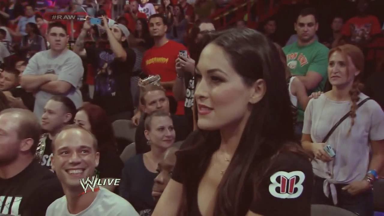 Seth Rollins & Brie Bella love hurts