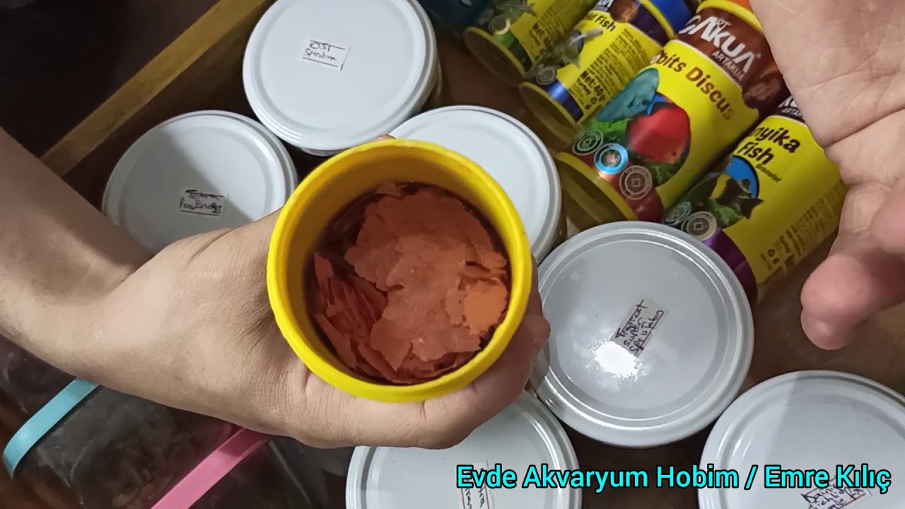 Balıklarıma Verdiğim Yemler (kaç çeşit yem ile balık beslenir?)