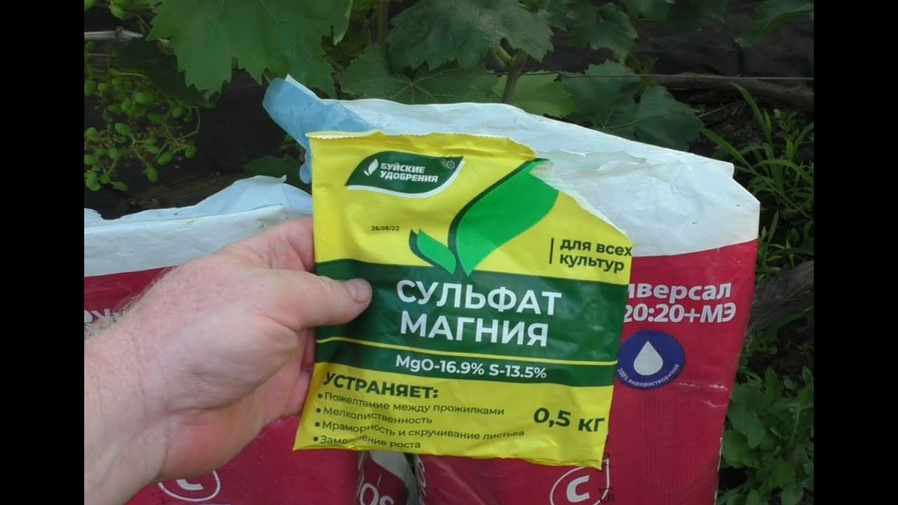 Интенсивный рост ягод после цветения - что обязательно нужно сделать!