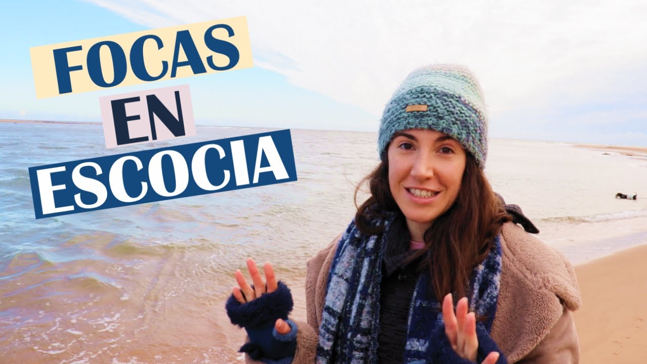 Focas y dunas en Escocia