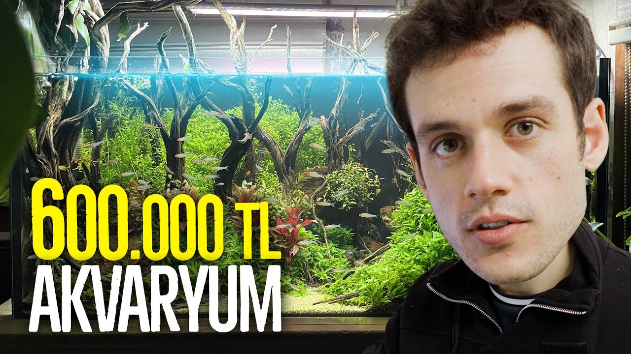 600.000 TL' lik AKVARYUM YAPTIK?! (İLGİNÇ MESLEKLER)