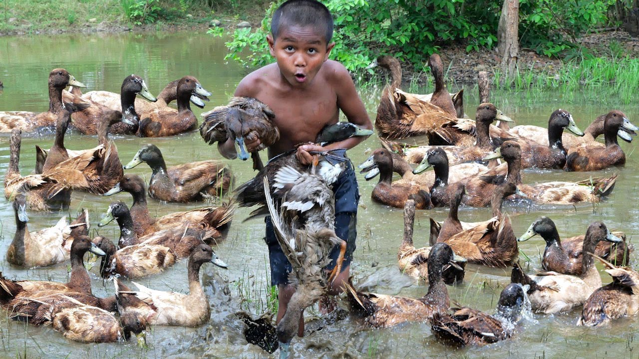 Meet Duck Cooking In The Forest For Food - My Survival