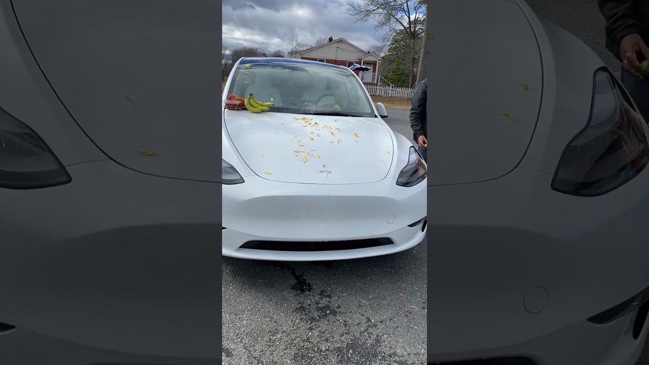 Tesla Car Puja Jan 2024