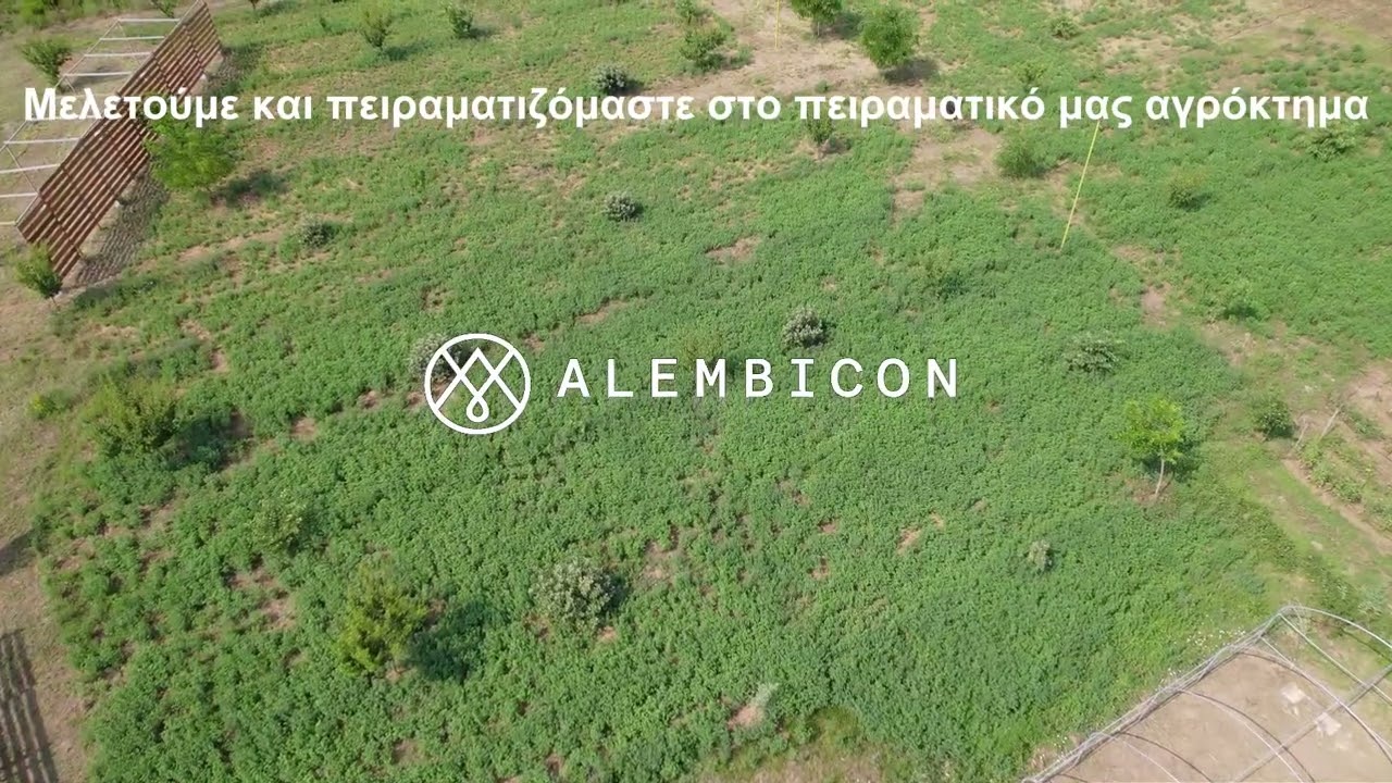Alembicon - Responsibly crafted herbal products