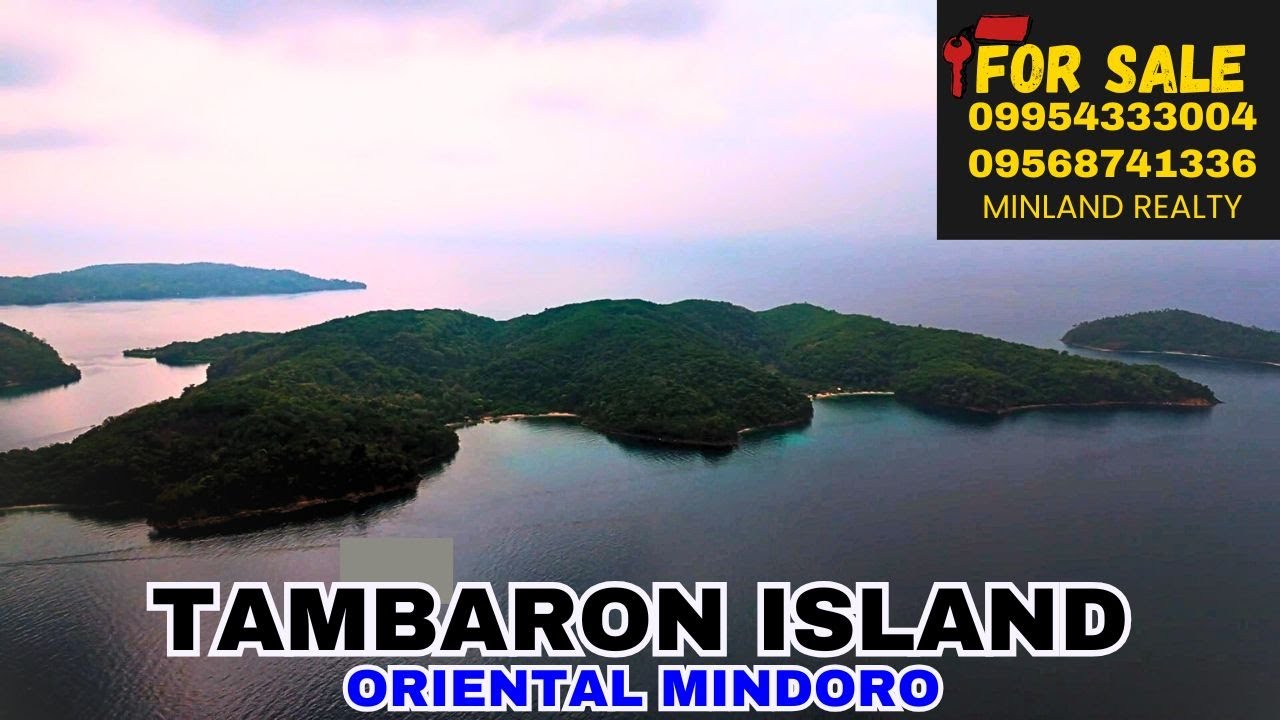 Tambaron Island For Sale