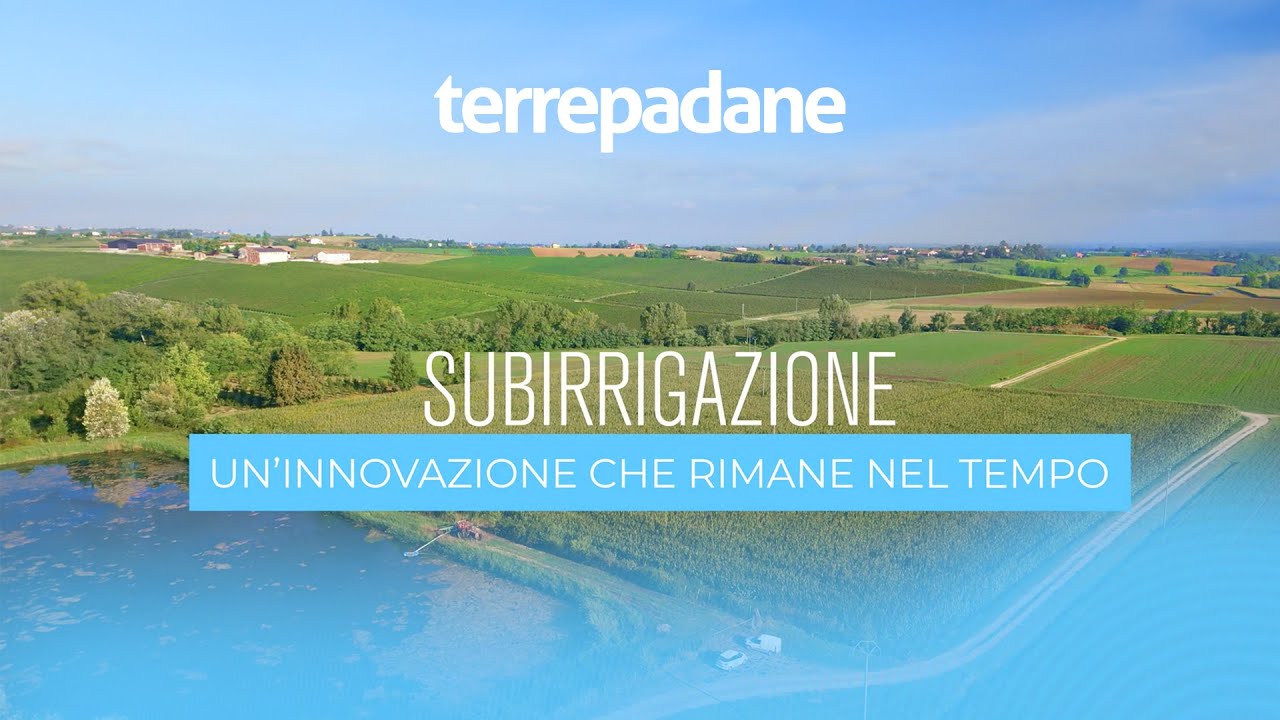 LA SUBIRRIGAZIONE (SDI) CHE FA LA DIFFERENZA