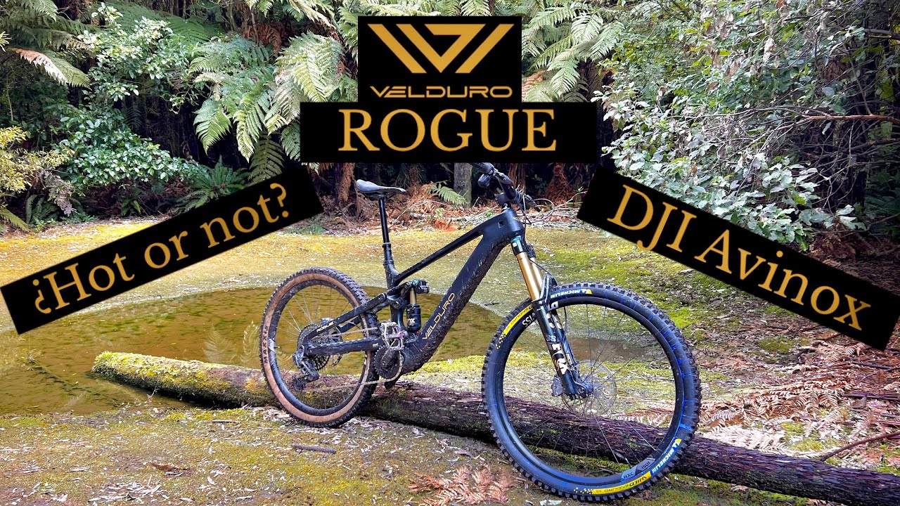 Velduro Rogue Pre-production test, is it just Hype?