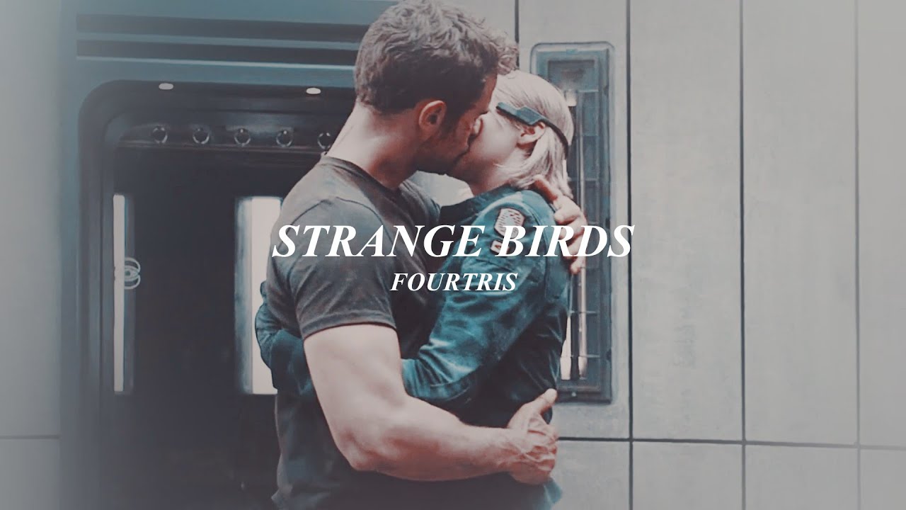 strange birds | tobias (four) + tris