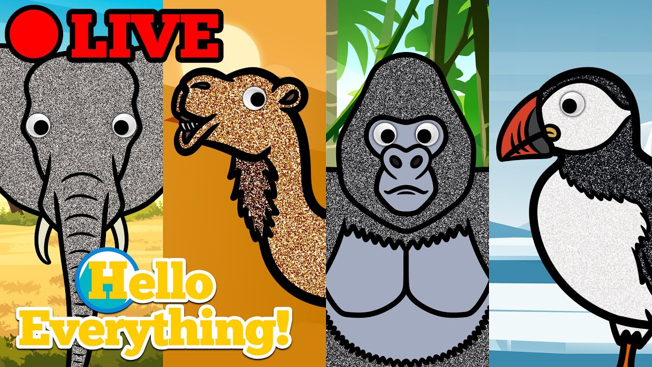 🔴 Hello Everything! 👀 Live Stream | Finger Family Nursery Rhymes & Animation