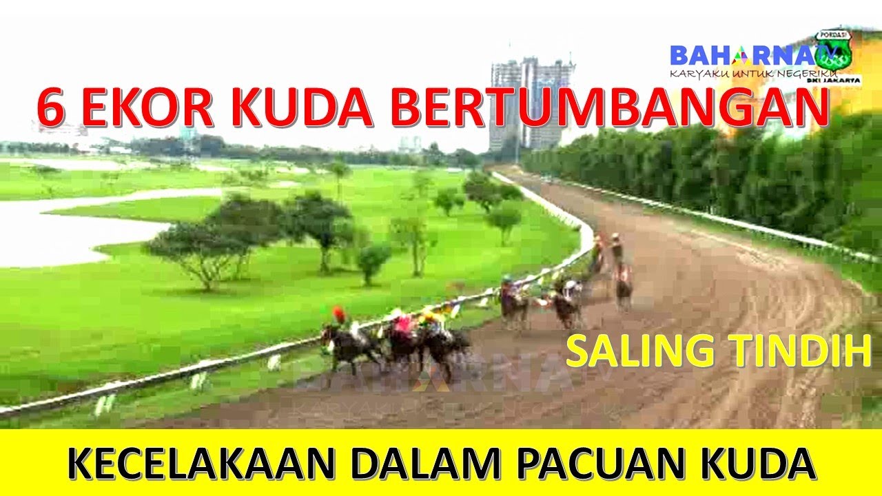 6 EKOR KUDA PACU BERTUMBANGAN DALAM KECELAKAAN PACUAN KUDA MADURA DERBY PERTIWI CUP TAHUN 2013