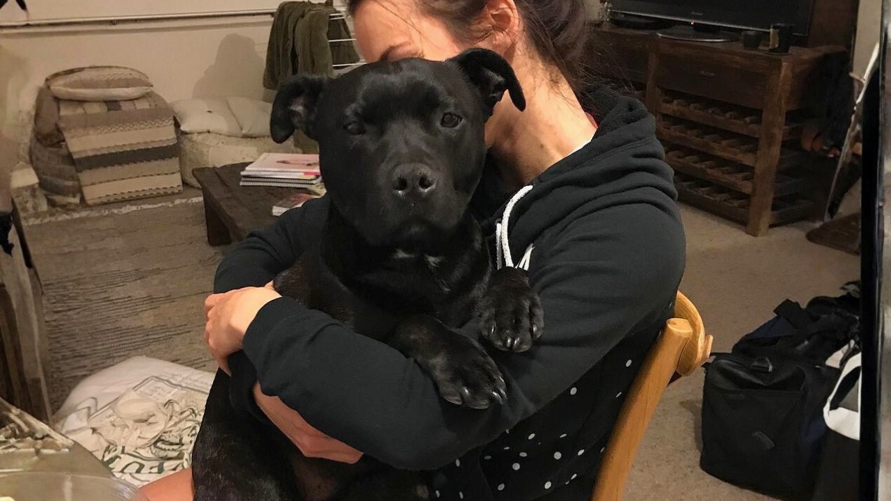 This Talking Rescue Dog Taught Me What Love Really Means