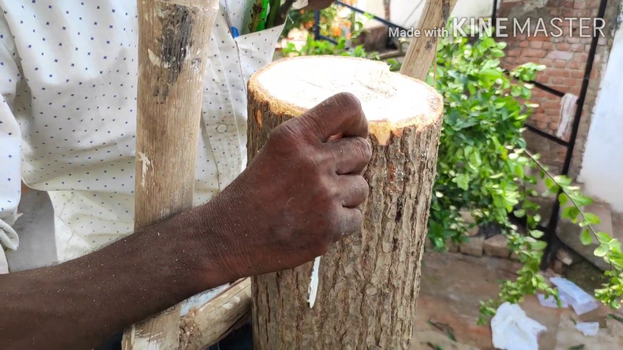 How to do bark grafting on big tree/छाल कलम बड़े आम के पेड़ पर कैसे करे