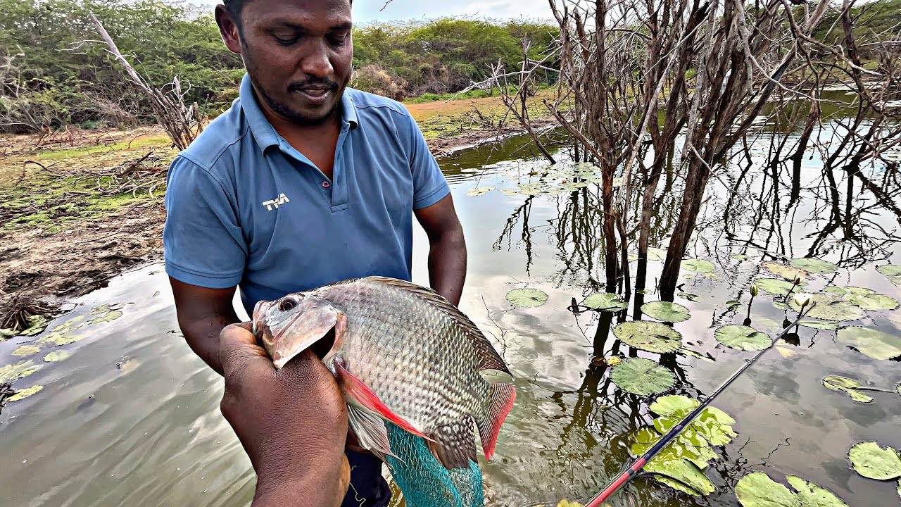 மழையில் தூண்டில் போட்டு பிடித்த ரோஸ் கலர் ஜிலேபி மீன்கள் #நத்தம்மாரியம்மன்