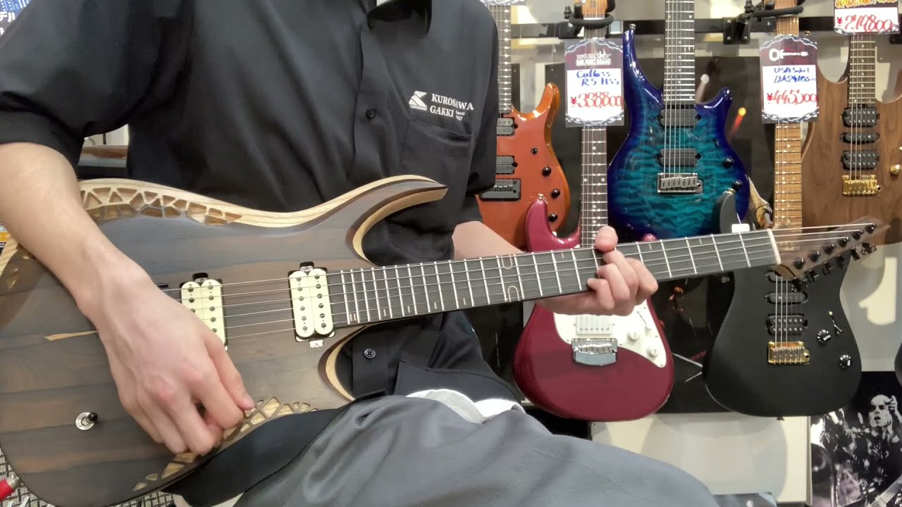 OD Guitars Venus6 Custom ~Ziricote~ #V.15321