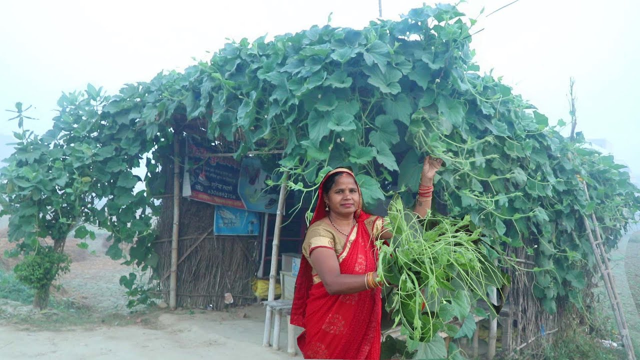लौकी की पत्ते और फुनगी की सब्जी बनाएंगे तो अंगुलिया चाटते रह जाएंगे | Lauki ke patte ki Recipe