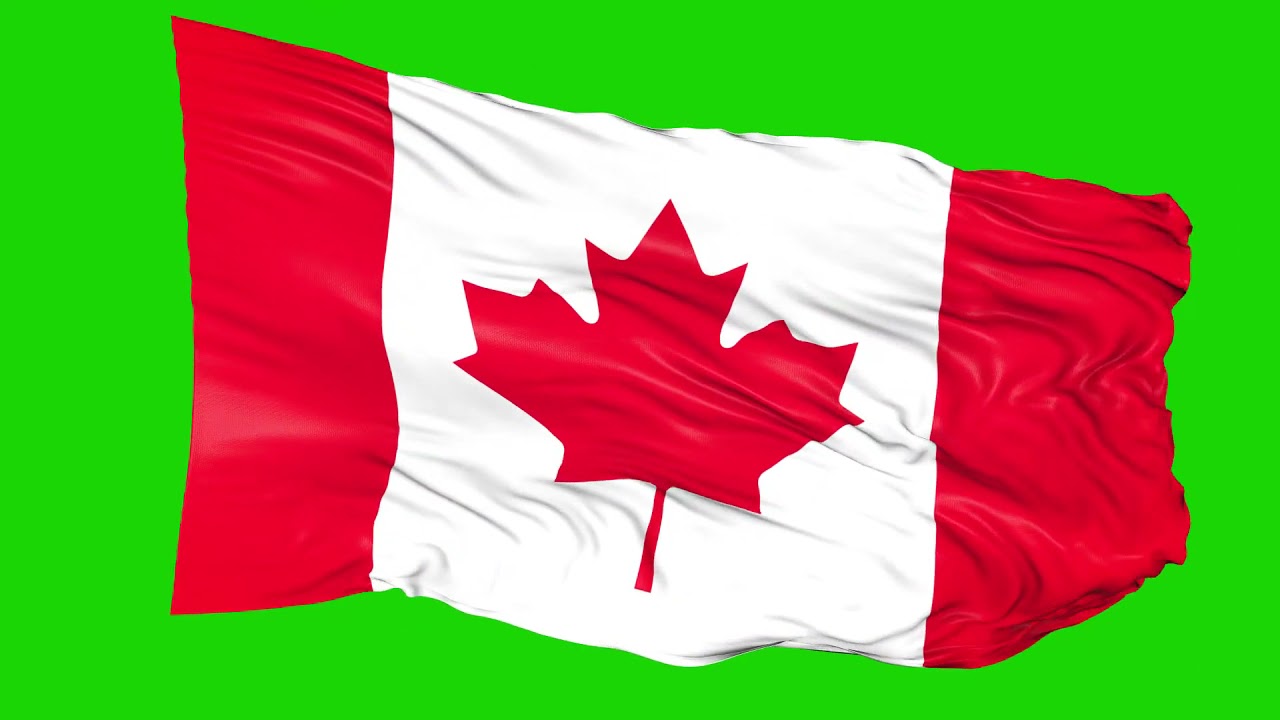 Canada Flag 2 | Green screen 4K HD  Video | Animated YouTube | No Copyright | Royalty-Free