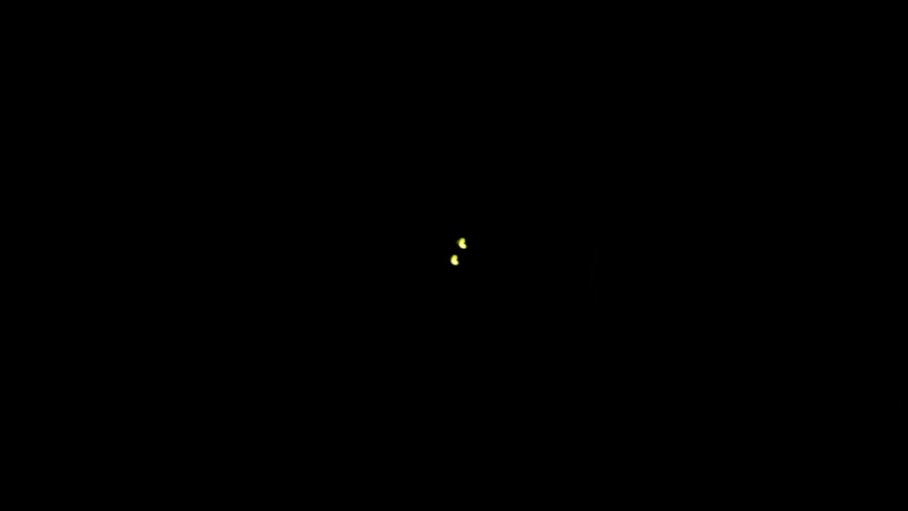 Fire 🔥 fly in the dark #reggae #music #bobmarley #rastafari #nature #marley #damianmarley #africa