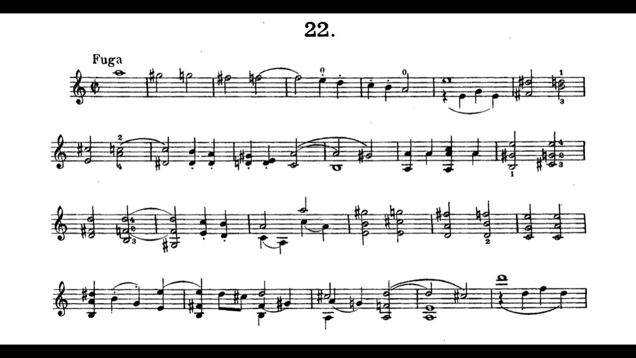 Pietro NARDINI : Caprice N°22  