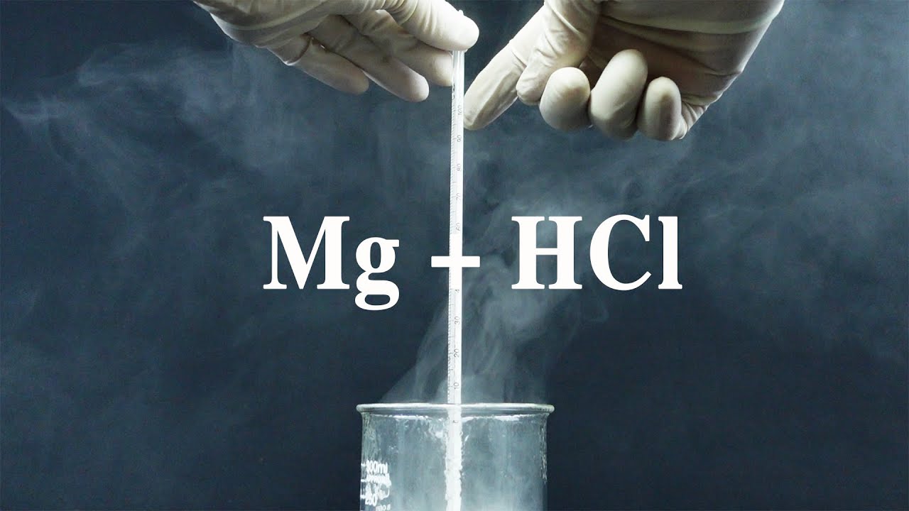 Mg + HCl. Magnesium tác dụng với dung dịch hydrochloric acid