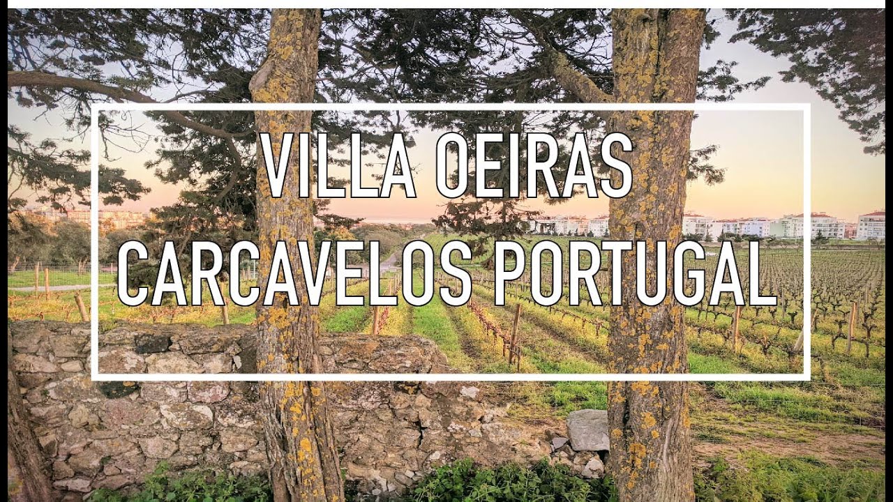 Villa Oeiras Carcavelos Wine, Portugal