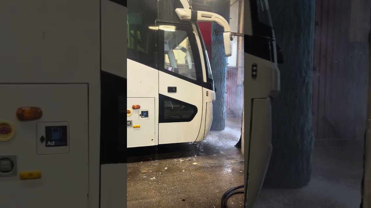 #3123 is washing