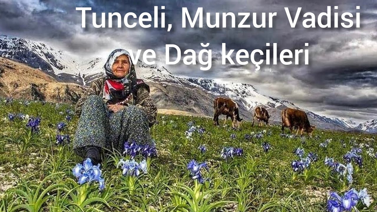 Tunceli Munzur Vadisi ve Dağ keçileri videoları💦